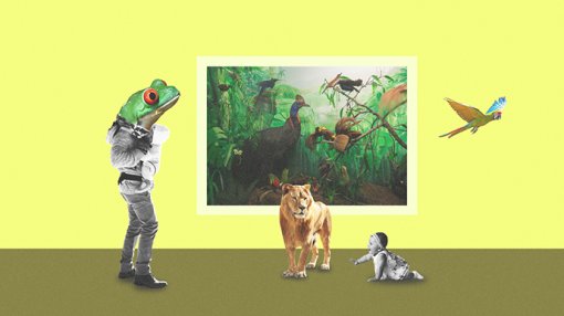 Babyomvisning i zoologiske utstillinger 