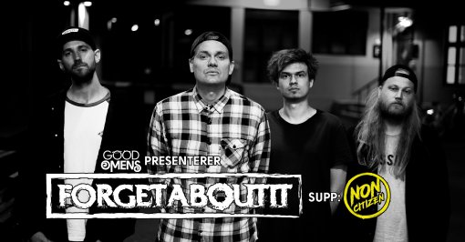 Forgetaboutit supp. Noncitizen