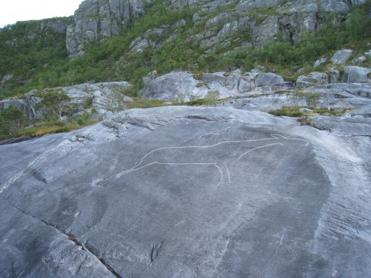 Meløy: Helleristningsvandring