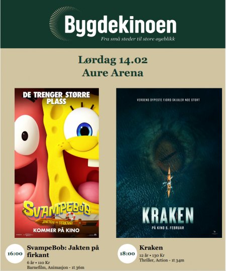 Svampebob; Jakten på firkant