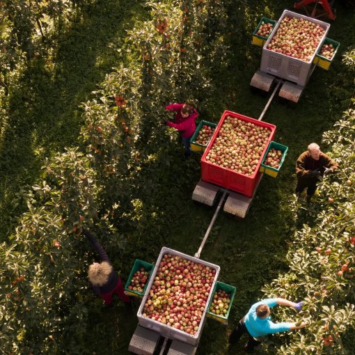 Ciderkurs med Jo Broch på HAVN