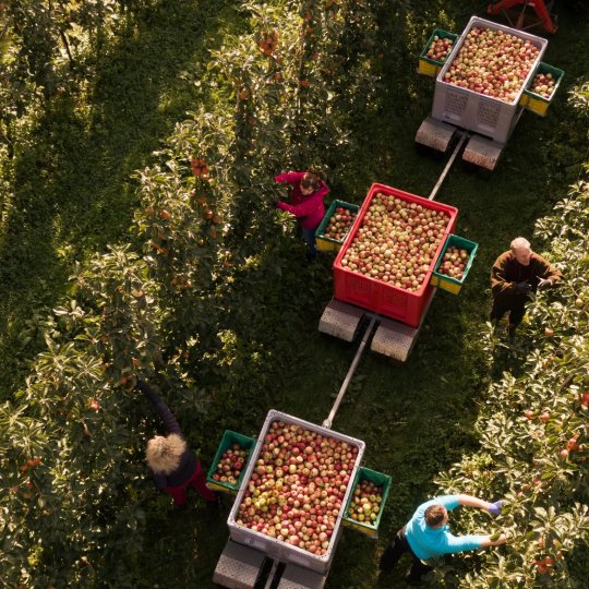 Ciderkurs med Jo Broch på HAVN