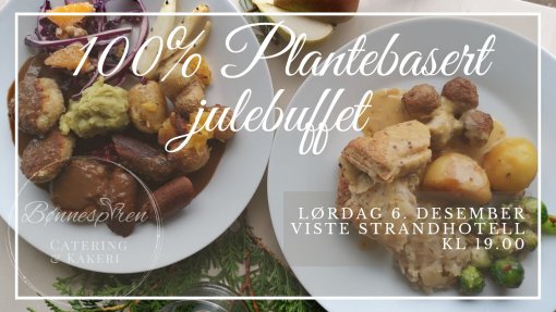 Plantebasert julebord